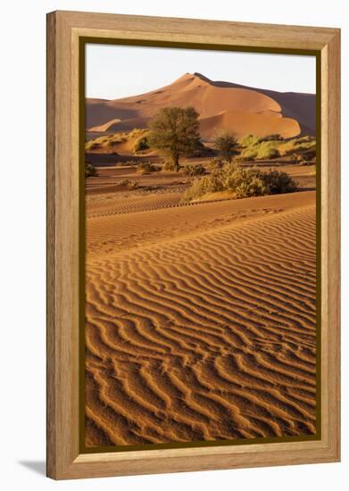 Namibia, Namib-Naukluft National Park, Sossusvlei. Scenic red dunes.-Ellen Goff-Framed Premier Image Canvas