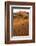 Namibia, Namib-Naukluft National Park, Sossusvlei. Scenic red dunes.-Ellen Goff-Framed Photographic Print