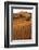 Namibia, Namib-Naukluft National Park, Sossusvlei. Scenic red dunes.-Ellen Goff-Framed Photographic Print