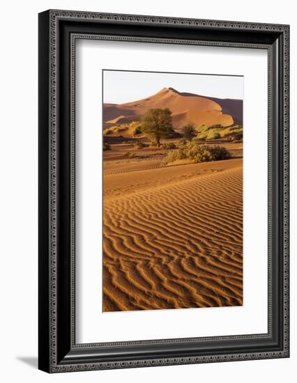 Namibia, Namib-Naukluft National Park, Sossusvlei. Scenic red dunes.-Ellen Goff-Framed Photographic Print