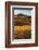 Namibia, Namib-Naukluft National Park, Sossusvlei. Scenic red dunes.-Ellen Goff-Framed Photographic Print