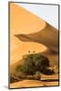 Namibia, Namib-Naukluft National Park, Sossusvlei. Two tourists climbing the scenic dune.-Ellen Goff-Mounted Photographic Print