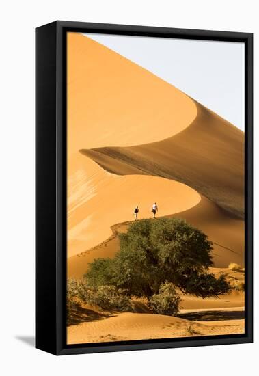 Namibia, Namib-Naukluft National Park, Sossusvlei. Two tourists climbing the scenic dune.-Ellen Goff-Framed Premier Image Canvas