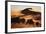 Namibia, Namib Naukluft National Park, World Tallest Desert Dunes-Stuart Westmorland-Framed Photographic Print