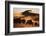 Namibia, Namib Naukluft National Park, World Tallest Desert Dunes-Stuart Westmorland-Framed Photographic Print