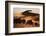 Namibia, Namib Naukluft National Park, World Tallest Desert Dunes-Stuart Westmorland-Framed Photographic Print