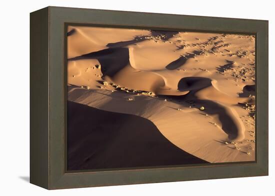 Namibia, Namib-Naukluft Park. Abstract aerial of sand dunes.-Jaynes Gallery-Framed Premier Image Canvas