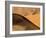 Namibia, Namib-Naukluft Park. Abstract of Side-Lit Sand Dunes-Wendy Kaveney-Framed Photographic Print