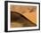 Namibia, Namib-Naukluft Park. Abstract of Side-Lit Sand Dunes-Wendy Kaveney-Framed Photographic Print