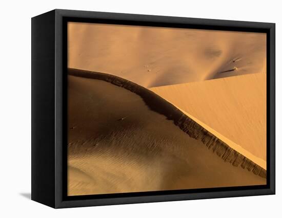 Namibia, Namib-Naukluft Park. Abstract of Side-Lit Sand Dunes-Wendy Kaveney-Framed Premier Image Canvas