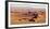 Namibia, Namib-Naukluft Park. Aerial of desert landscape.-Jaynes Gallery-Framed Photographic Print