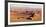 Namibia, Namib-Naukluft Park. Aerial of desert landscape.-Jaynes Gallery-Framed Photographic Print