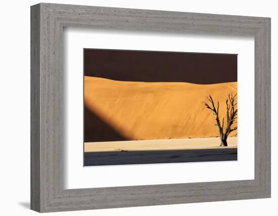 Namibia, Namib-Naukluft Park, Dead Vlei. a Dead Tree Illuminated-Wendy Kaveney-Framed Photographic Print