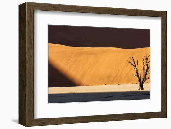 Namibia, Namib-Naukluft Park, Dead Vlei. a Dead Tree Illuminated-Wendy Kaveney-Framed Photographic Print