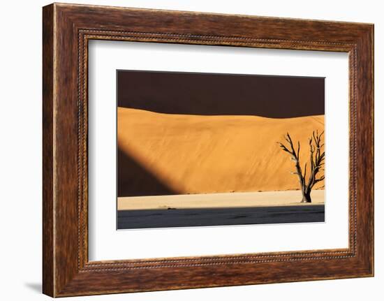 Namibia, Namib-Naukluft Park, Dead Vlei. a Dead Tree Illuminated-Wendy Kaveney-Framed Photographic Print