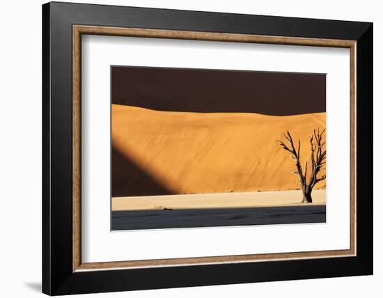 Namibia, Namib-Naukluft Park, Dead Vlei. a Dead Tree Illuminated-Wendy Kaveney-Framed Photographic Print