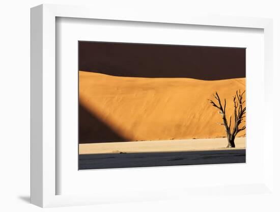 Namibia, Namib-Naukluft Park, Dead Vlei. a Dead Tree Illuminated-Wendy Kaveney-Framed Photographic Print