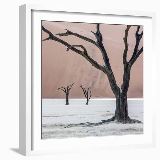 Namibia, Namib-Naukluft Park, Dead Vlei. Three Dead Trees at Sunrise-Wendy Kaveney-Framed Photographic Print