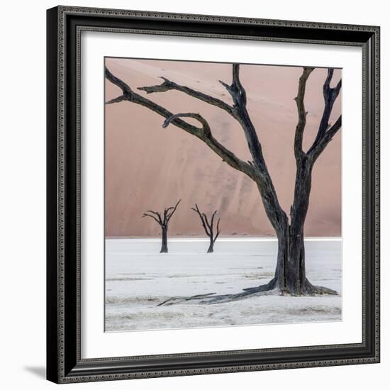 Namibia, Namib-Naukluft Park, Dead Vlei. Three Dead Trees at Sunrise-Wendy Kaveney-Framed Photographic Print