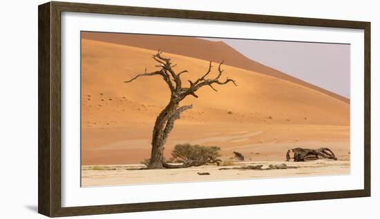 Namibia, Namib-Naukluft Park, Deadvlei. Dead tree and sand dunes.-Jaynes Gallery-Framed Photographic Print