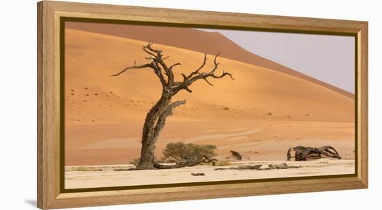 Namibia, Namib-Naukluft Park, Deadvlei. Dead tree and sand dunes.-Jaynes Gallery-Framed Premier Image Canvas