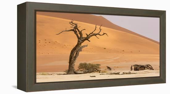 Namibia, Namib-Naukluft Park, Deadvlei. Dead tree and sand dunes.-Jaynes Gallery-Framed Premier Image Canvas