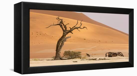 Namibia, Namib-Naukluft Park, Deadvlei. Dead tree and sand dunes.-Jaynes Gallery-Framed Premier Image Canvas