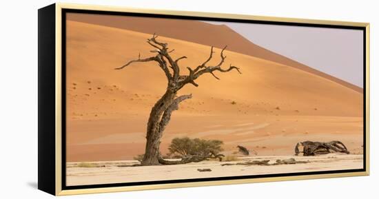 Namibia, Namib-Naukluft Park, Deadvlei. Dead tree and sand dunes.-Jaynes Gallery-Framed Premier Image Canvas