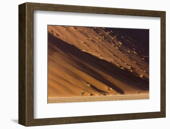 Namibia, Namib-Naukluft Park. Desert sand dune at sunset.-Jaynes Gallery-Framed Photographic Print