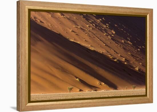 Namibia, Namib-Naukluft Park. Desert sand dune at sunset.-Jaynes Gallery-Framed Premier Image Canvas