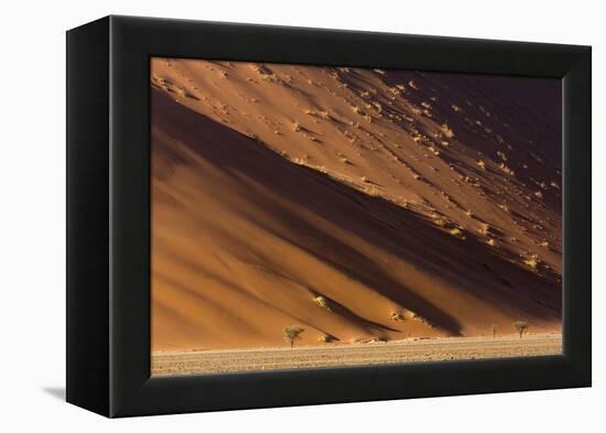 Namibia, Namib-Naukluft Park. Desert sand dune at sunset.-Jaynes Gallery-Framed Premier Image Canvas