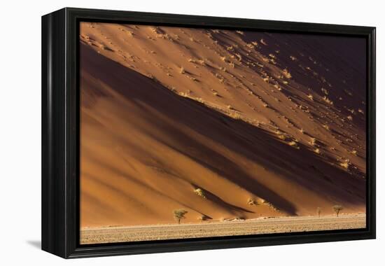 Namibia, Namib-Naukluft Park. Desert sand dune at sunset.-Jaynes Gallery-Framed Premier Image Canvas