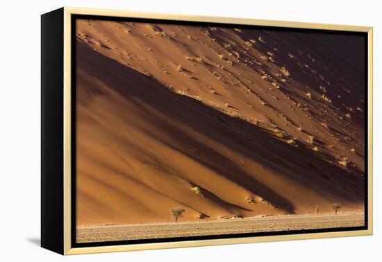 Namibia, Namib-Naukluft Park. Desert sand dune at sunset.-Jaynes Gallery-Framed Premier Image Canvas
