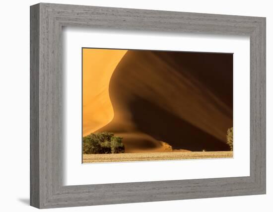 Namibia, Namib-Naukluft Park. Dune at Sunset-Wendy Kaveney-Framed Photographic Print