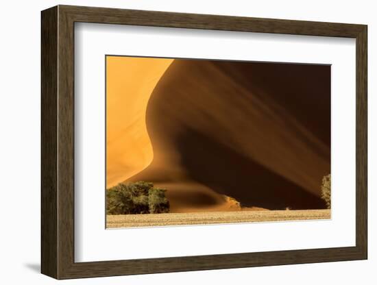 Namibia, Namib-Naukluft Park. Dune at Sunset-Wendy Kaveney-Framed Photographic Print