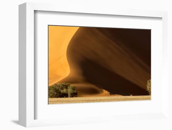 Namibia, Namib-Naukluft Park. Dune at Sunset-Wendy Kaveney-Framed Photographic Print