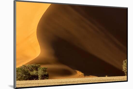 Namibia, Namib-Naukluft Park. Dune at Sunset-Wendy Kaveney-Mounted Photographic Print