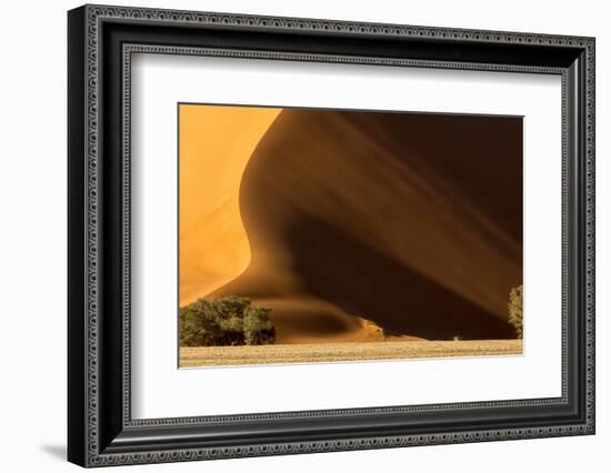 Namibia, Namib-Naukluft Park. Dune at Sunset-Wendy Kaveney-Framed Photographic Print