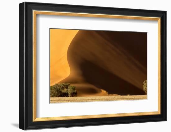 Namibia, Namib-Naukluft Park. Dune at Sunset-Wendy Kaveney-Framed Photographic Print