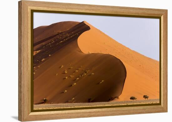 Namibia, Namib-Naukluft Park. Giant sand dune and trees.-Jaynes Gallery-Framed Premier Image Canvas