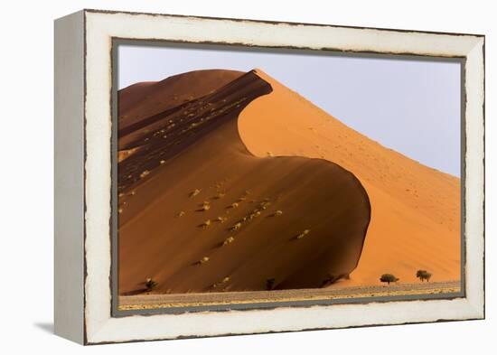 Namibia, Namib-Naukluft Park. Giant sand dune and trees.-Jaynes Gallery-Framed Premier Image Canvas