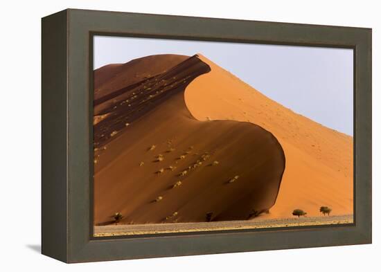 Namibia, Namib-Naukluft Park. Giant sand dune and trees.-Jaynes Gallery-Framed Premier Image Canvas