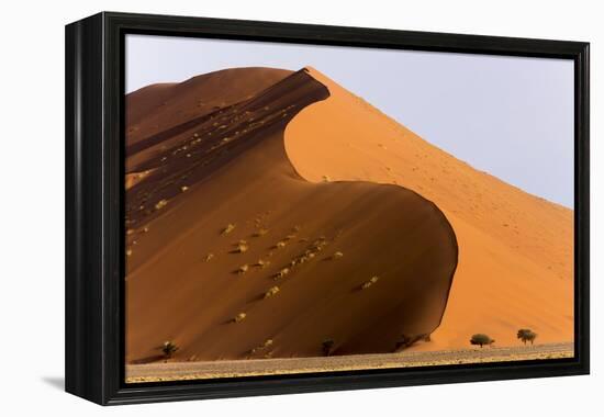 Namibia, Namib-Naukluft Park. Giant sand dune and trees.-Jaynes Gallery-Framed Premier Image Canvas