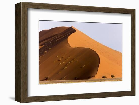 Namibia, Namib-Naukluft Park. Giant sand dune and trees.-Jaynes Gallery-Framed Photographic Print