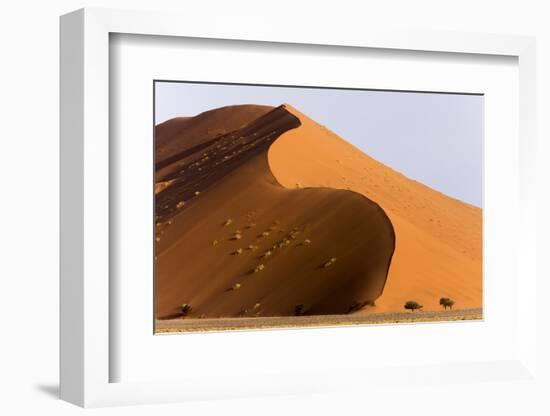 Namibia, Namib-Naukluft Park. Giant sand dune and trees.-Jaynes Gallery-Framed Photographic Print