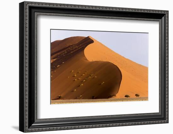 Namibia, Namib-Naukluft Park. Giant sand dune and trees.-Jaynes Gallery-Framed Photographic Print