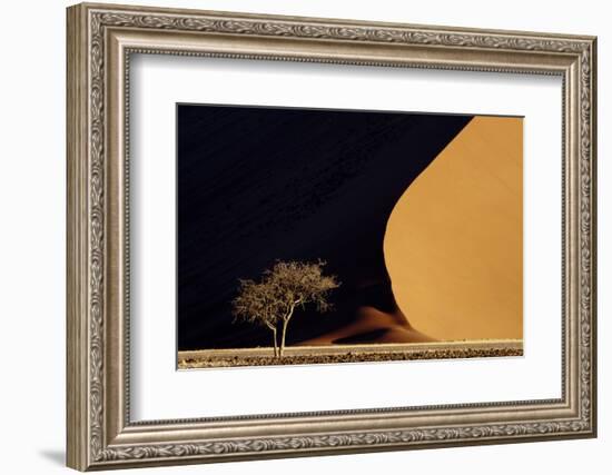 Namibia, Namib-Naukluft Park. Red Sand Dunes Contrast and Tree-Jaynes Gallery-Framed Photographic Print