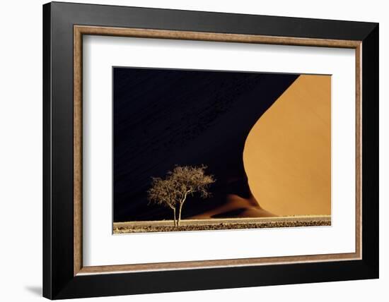 Namibia, Namib-Naukluft Park. Red Sand Dunes Contrast and Tree-Jaynes Gallery-Framed Photographic Print