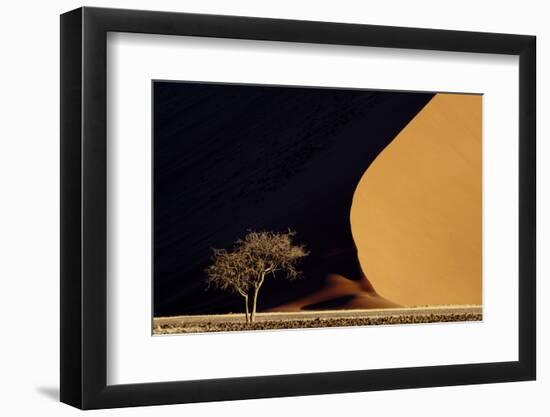 Namibia, Namib-Naukluft Park. Red Sand Dunes Contrast and Tree-Jaynes Gallery-Framed Photographic Print