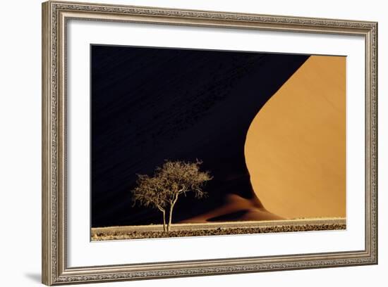 Namibia, Namib-Naukluft Park. Red Sand Dunes Contrast and Tree-Jaynes Gallery-Framed Photographic Print